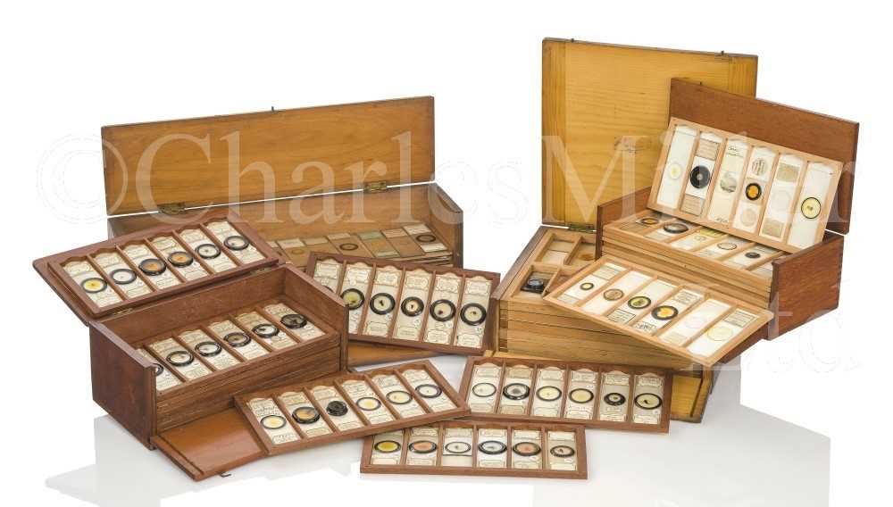 Lot 282 - MICROSCOPE SLIDES FROM THE PERSONAL COLLECTION OF FRED ENOCK (1845-1916)