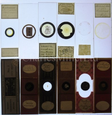 Lot 282 - MICROSCOPE SLIDES FROM THE PERSONAL COLLECTION OF FRED ENOCK (1845-1916)
