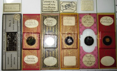 Lot 282 - MICROSCOPE SLIDES FROM THE PERSONAL COLLECTION OF FRED ENOCK (1845-1916)