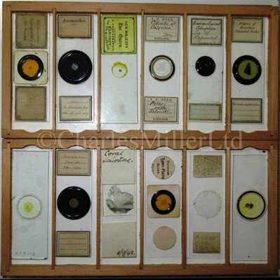 Lot 282 - MICROSCOPE SLIDES FROM THE PERSONAL COLLECTION OF FRED ENOCK (1845-1916)