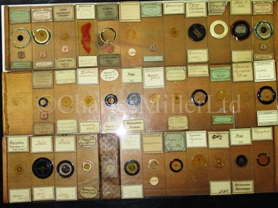 Lot 282 - MICROSCOPE SLIDES FROM THE PERSONAL COLLECTION OF FRED ENOCK (1845-1916)