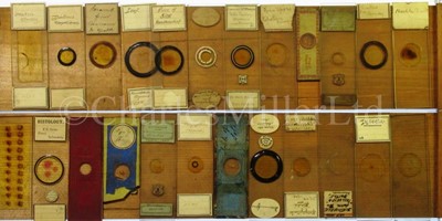 Lot 282 - MICROSCOPE SLIDES FROM THE PERSONAL COLLECTION OF FRED ENOCK (1845-1916)