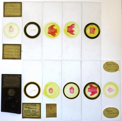 Lot 282 - MICROSCOPE SLIDES FROM THE PERSONAL COLLECTION OF FRED ENOCK (1845-1916)