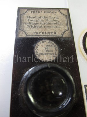 Lot 282 - MICROSCOPE SLIDES FROM THE PERSONAL COLLECTION OF FRED ENOCK (1845-1916)