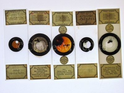 Lot 282 - MICROSCOPE SLIDES FROM THE PERSONAL COLLECTION OF FRED ENOCK (1845-1916)