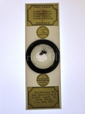Lot 282 - MICROSCOPE SLIDES FROM THE PERSONAL COLLECTION OF FRED ENOCK (1845-1916)