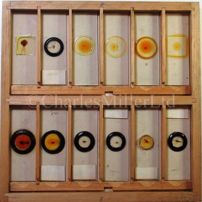 Lot 282 - MICROSCOPE SLIDES FROM THE PERSONAL COLLECTION OF FRED ENOCK (1845-1916)