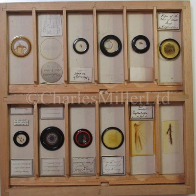 Lot 282 - MICROSCOPE SLIDES FROM THE PERSONAL COLLECTION OF FRED ENOCK (1845-1916)