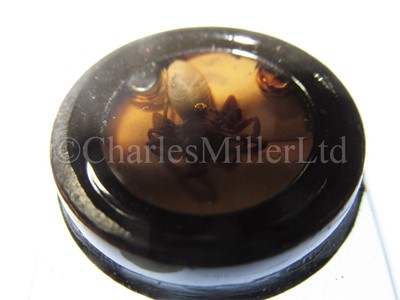 Lot 282 - MICROSCOPE SLIDES FROM THE PERSONAL COLLECTION OF FRED ENOCK (1845-1916)