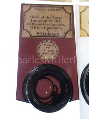 Lot 282 - MICROSCOPE SLIDES FROM THE PERSONAL COLLECTION OF FRED ENOCK (1845-1916)