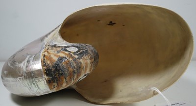 Lot 23 - A LARGE-SIZED MID-19TH CENTURY SCRIMSHAW WORKED NAUTILUS SHELL BY C.H. WOOD