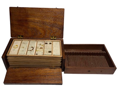 Lot 117 - A 19TH CENTURY WOODEN SPECIMEN CABINET